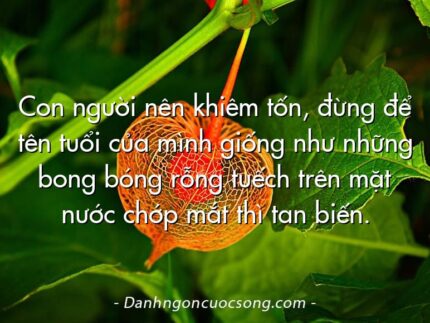 Con người nên khiêm tốn, đừng để tên tuổi của mình giống như những bong bóng rỗng tuếch trên mặt nước chớp mắt thì tan biến.