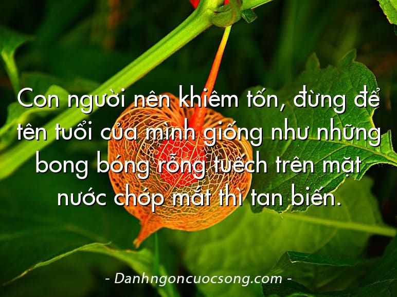Con người nên khiêm tốn, đừng để tên tuổi của mình giống như những bong bóng rỗng tuếch trên mặt nước chớp mắt thì tan biến.