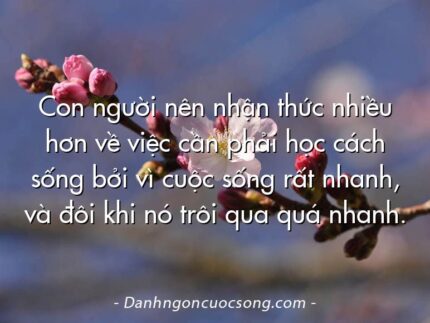 Con người nên nhận thức nhiều hơn về việc cần phải học cách sống bởi vì cuộc sống rất nhanh, và đôi khi nó trôi qua quá nhanh.