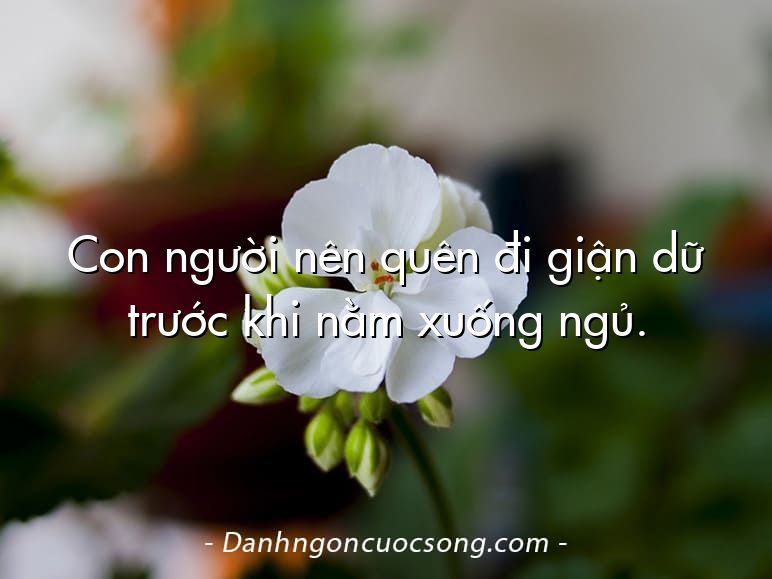 Con người nên quên đi giận dữ trước khi nằm xuống ngủ.