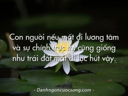 Con người nếu mất đi lương tâm và sự chính trực thì cũng giống như trái đất mất đi lực hút vậy.