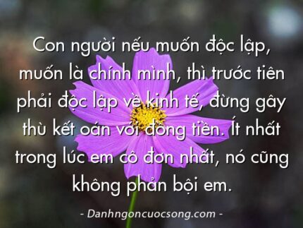 Con người nếu muốn độc lập, muốn là chính mình, thì trước tiên phải độc lập về kinh tế, đừng gây thù kết oán với đồng tiền. Ít nhất trong lúc em cô đơn nhất, nó cũng không phản bội em.