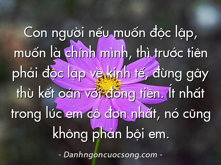 Con người nếu muốn độc lập, muốn là chính mình, thì trước tiên phải độc lập về kinh tế, đừng gây thù kết oán với đồng tiền. Ít nhất trong lúc em cô đơn nhất, nó cũng không phản bội em.