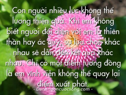 Con người nhiều lúc không thể lương thiện quá. Khi em không biết người đối diện với em là thiên thần hay ác quỷ, sự lựa chọn khác nhau sẽ dẫn đến kết quả khác nhau. Chỉ có một điểm tương đồng là em vĩnh viễn không thể quay lại điểm xuất phát.