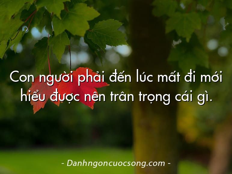 Con người phải đến lúc mất đi mới hiểu được nên trân trọng cái gì.