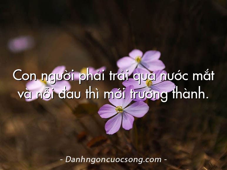 Con người phải trải qua nước mắt và nỗi đau thì mới trưởng thành.