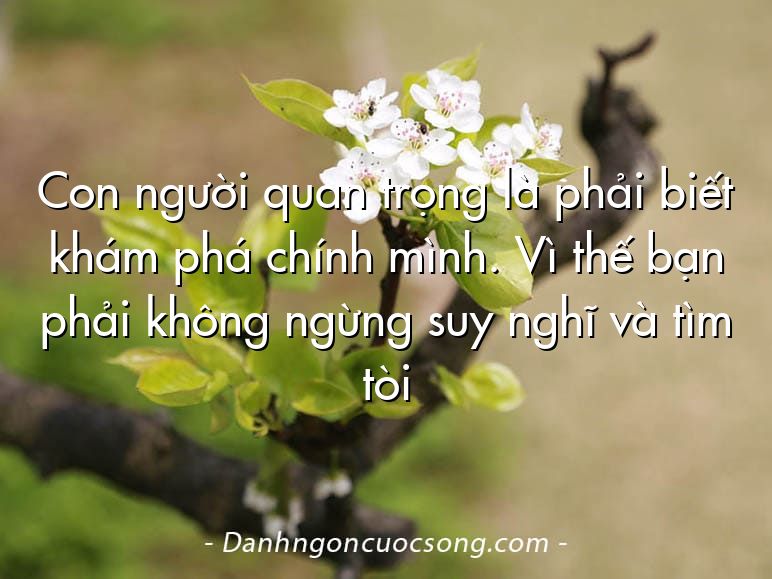 Con người quan trọng là phải biết khám phá chính mình. Vì thế bạn phải không ngừng suy nghĩ và tìm tòi