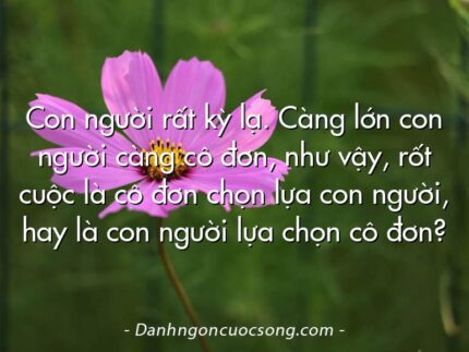 Con người rất kỳ lạ. Càng lớn con người càng cô đơn, như vậy, rốt cuộc là cô đơn chọn lựa con người, hay là con người lựa chọn cô đơn?
