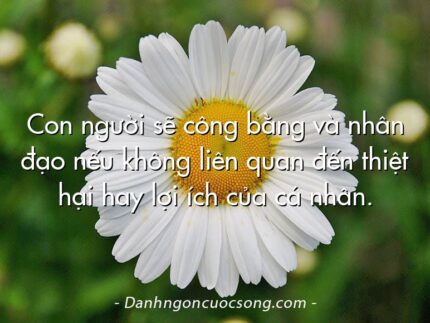 Con người sẽ công bằng và nhân đạo nếu không liên quan đến thiệt hại hay lợi ích của cá nhân.