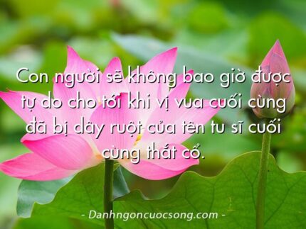 Con người sẽ không bao giờ được tự do cho tới khi vị vua cuối cùng đã bị dây ruột của tên tu sĩ cuối cùng thắt cổ.