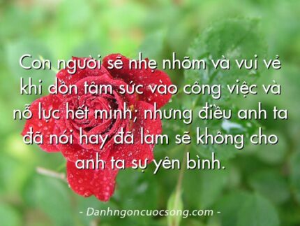 Con người sẽ nhẹ nhõm và vui vẻ khi dồn tâm sức vào công việc và nỗ lực hết mình; nhưng điều anh ta đã nói hay đã làm sẽ không cho anh ta sự yên bình.