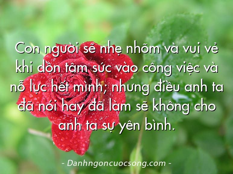 Con người sẽ nhẹ nhõm và vui vẻ khi dồn tâm sức vào công việc và nỗ lực hết mình; nhưng điều anh ta đã nói hay đã làm sẽ không cho anh ta sự yên bình.