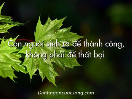 Con người sinh ra để thành công, không phải để thất bại.