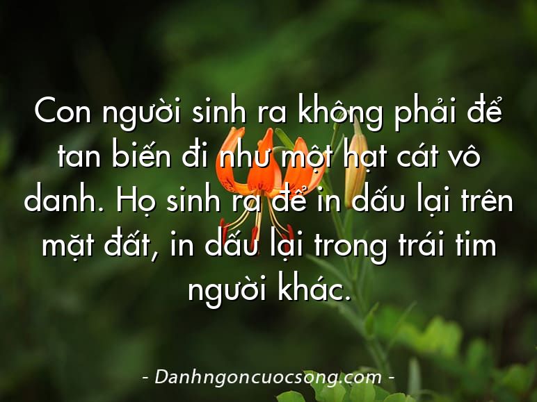 Con người sinh ra không phải để tan biến đi như một hạt cát vô danh. Họ sinh ra để in dấu lại trên mặt đất, in dấu lại trong trái tim người khác.