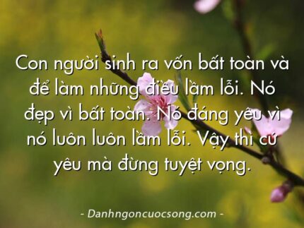 Con người sinh ra vốn bất toàn và để làm những điều lầm lỗi. Nó đẹp vì bất toàn. Nó đáng yêu vì nó luôn luôn lầm lỗi. Vậy thì cứ yêu mà đừng tuyệt vọng.