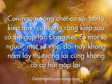Con người sống chết có số, bỏ lỡ kiếp này, cứ tưởng rằng kiếp sau có thể gặp lại. Đáng tiếc có một số người, một số việc, đời này không nắm lấy thì tương lai cũng không có cơ hội gặp lại.