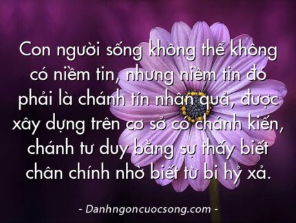 Con người sống không thể không có niềm tin, nhưng niềm tin đó phải là chánh tín nhân quả, được xây dựng trên cơ sở có chánh kiến, chánh tư duy bằng sự thấy biết chân chính nhờ biết từ bi hỷ xả.