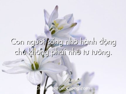 Con người sống nhờ hành động chứ không phải nhờ tư tưởng.