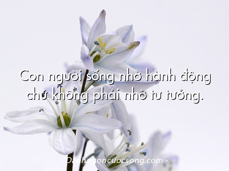Con người sống nhờ hành động chứ không phải nhờ tư tưởng.