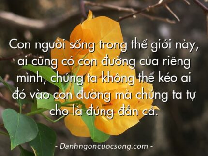 Con người sống trong thế giới này, ai cũng có con đường của riêng mình, chúng ta không thể kéo ai đó vào con đường mà chúng ta tự cho là đúng đắn cả.