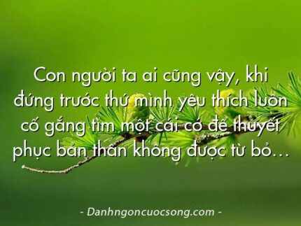 Con người ta ai cũng vậy, khi đứng trước thứ mình yêu thích luôn cố gắng tìm một cái cớ để thuyết phục bản thân không được từ bỏ…