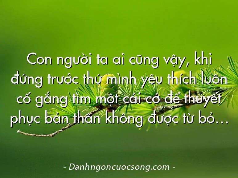 Con người ta ai cũng vậy, khi đứng trước thứ mình yêu thích luôn cố gắng tìm một cái cớ để thuyết phục bản thân không được từ bỏ…