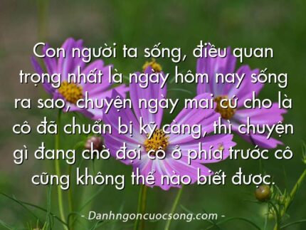 Con người ta sống, điều quan trọng nhất là ngày hôm nay sống ra sao, chuyện ngày mai cứ cho là cô đã chuẩn bị kỹ càng, thì chuyện gì đang chờ đợi cô ở phía trước cô cũng không thể nào biết được.