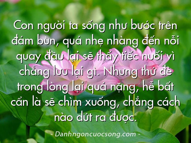 Con người ta sống như bước trên đám bùn, quá nhẹ nhàng đến nỗi quay đầu lại sẽ thấy tiếc nuối vì chẳng lưu lại gì. Nhưng thứ đè trong lòng lại quá nặng, hễ bất cẩn là sẽ chìm xuống, chẳng cách nào dứt ra được.