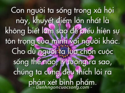 Con người ta sống trong xã hội này, khuyết điểm lớn nhất là không biết làm sao để biểu hiện sự tôn trọng của mình với người khác. Cho dù người ta lựa chọn cuộc sống thế nào, lý tưởng ra sao, chúng ta cũng đều thích lôi ra phán xét bình phẩm.