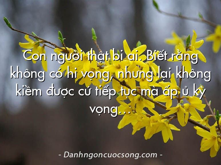 Con người thật bi ai. Biết rằng không có hi vọng, nhưng lại không kiềm được cứ tiếp tục mà ấp ủ kỳ vọng…