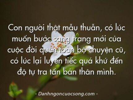 Con người thật mẫu thuẫn, có lúc muốn bước sang trang mới của cuộc đời quên toàn bộ chuyện cũ, có lúc lại luyến tiếc quá khứ đến độ tự tra tấn bản thân mình.