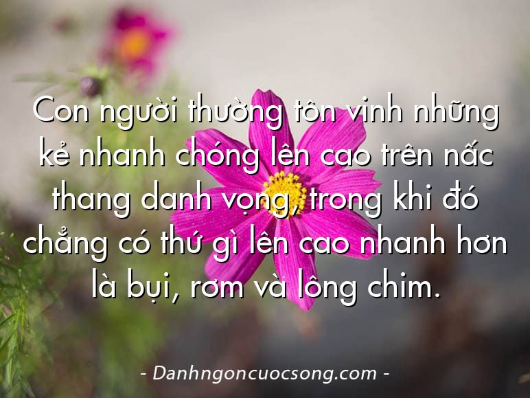 Con người thường tôn vinh những kẻ nhanh chóng lên cao trên nấc thang danh vọng, trong khi đó chẳng có thứ gì lên cao nhanh hơn là bụi, rơm và lông chim.