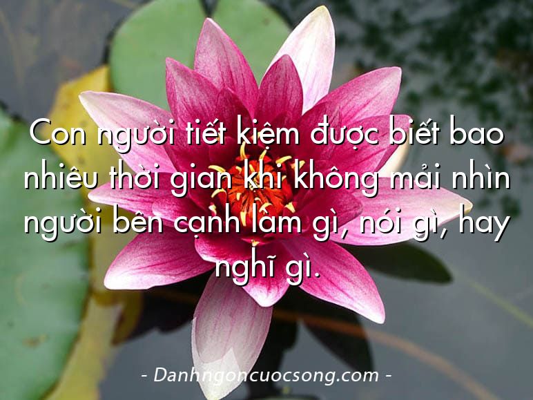 Con người tiết kiệm được biết bao nhiêu thời gian khi không mải nhìn người bên cạnh làm gì, nói gì, hay nghĩ gì.