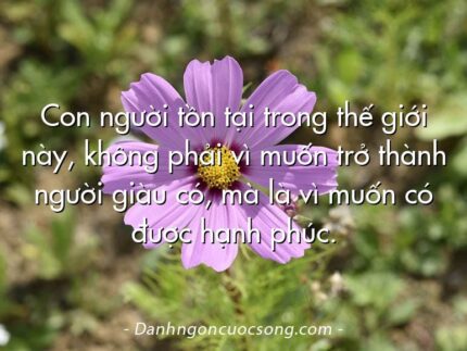Con người tồn tại trong thế giới này, không phải vì muốn trở thành người giàu có, mà là vì muốn có được hạnh phúc.