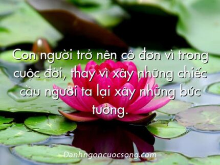 Con người trở nên cô đơn vì trong cuộc đời, thay vì xây những chiếc cầu người ta lại xây những bức tường.