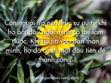 Con người trở nên thực sự ưu tú khi họ bắt đầu nghĩ mình có thể làm được. Khi họ tin vào bản thân mình, họ đã có bí mật đầu tiên để thành công.
