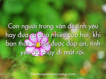 Con người trong vấn đề tình yêu hay đưa ra quá nhiều câu hỏi, khi bạn thật sự biết được đáp án, tình yêu đã chạy đi mất rồi.