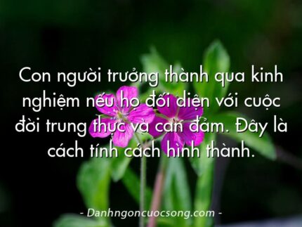 Con người trưởng thành qua kinh nghiệm nếu họ đối diện với cuộc đời trung thực và can đảm. Đây là cách tính cách hình thành.