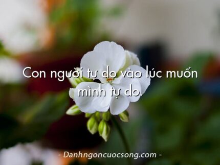 Con người tự do vào lúc muốn mình tự do.