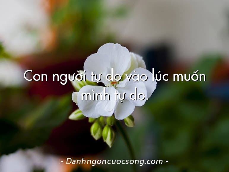 Con người tự do vào lúc muốn mình tự do.