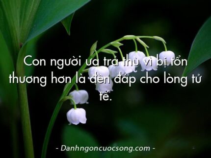 Con người ưa trả thù vì bị tổn thương hơn là đền đáp cho lòng tử tế.