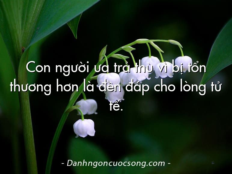 Con người ưa trả thù vì bị tổn thương hơn là đền đáp cho lòng tử tế.