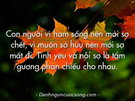Con người vì ham sống nên mới sợ chết, vì muốn sở hữu nên mới sợ mất đi. Tình yêu và nỗi sợ là tấm gương phản chiếu cho nhau.