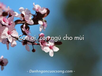 Con ơi, con ngủ cho mùi