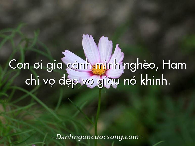 Con ơi gia cảnh mình nghèo, Ham chi vợ đẹp vợ giàu nó khinh.