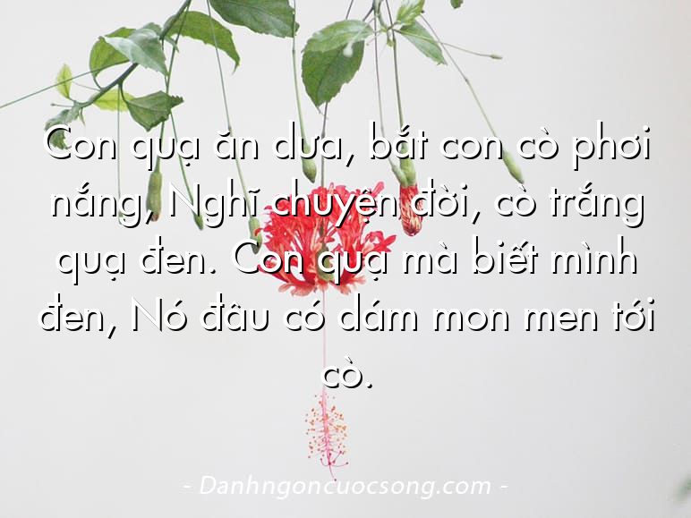 Con quạ ăn dưa, bắt con cò phơi nắng, Nghĩ chuyện đời, cò trắng quạ đen. Con quạ mà biết mình đen, Nó đâu có dám mon men tới cò.