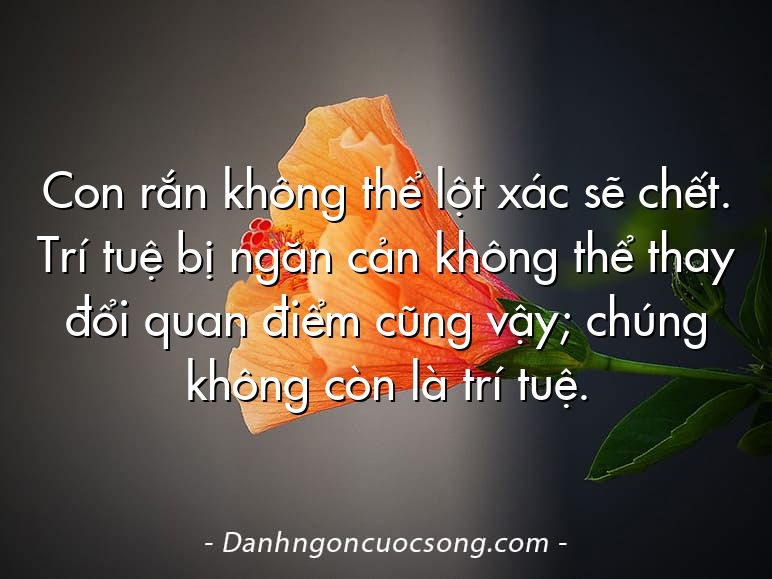 Con rắn không thể lột xác sẽ chết. Trí tuệ bị ngăn cản không thể thay đổi quan điểm cũng vậy; chúng không còn là trí tuệ.