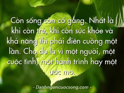Còn sống còn cố gắng. Nhất là khi còn trẻ, khi còn sức khỏe và khả năng thì phải điên cuồng một lần. Cho dù là vì một người, một cuộc tình, một hành trình hay một ước mơ.