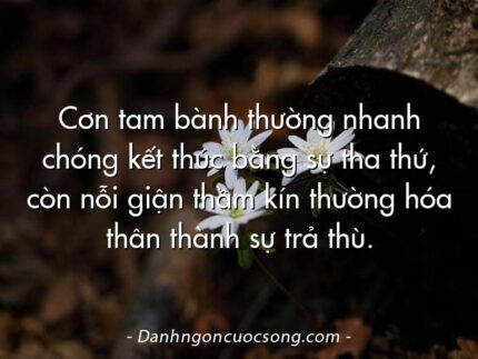 Cơn tam bành thường nhanh chóng kết thúc bằng sự tha thứ, còn nỗi giận thầm kín thường hóa thân thành sự trả thù.