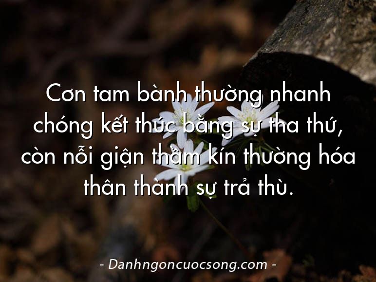 Cơn tam bành thường nhanh chóng kết thúc bằng sự tha thứ, còn nỗi giận thầm kín thường hóa thân thành sự trả thù.